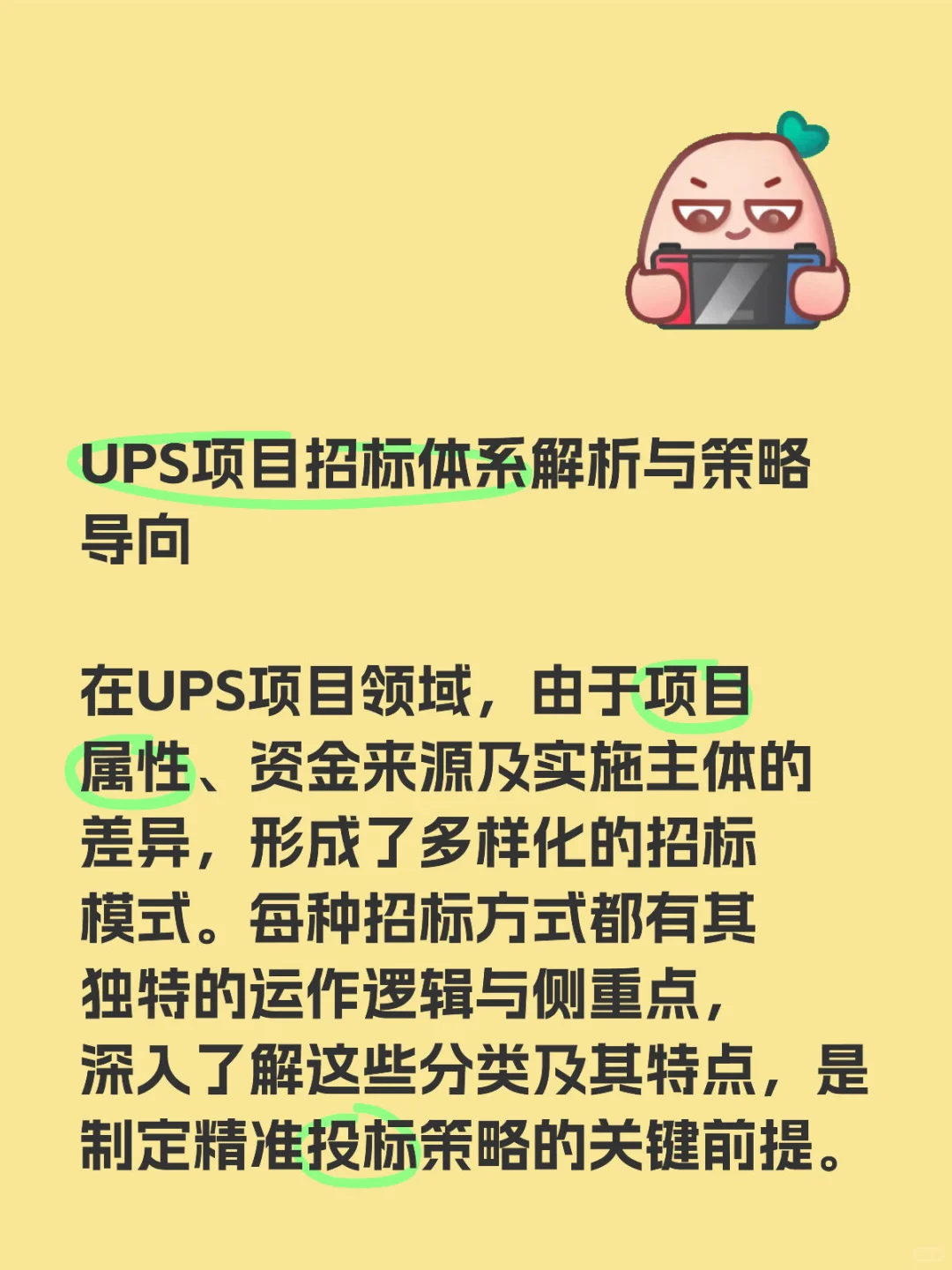 UPS项目招标体系解析与策略导向