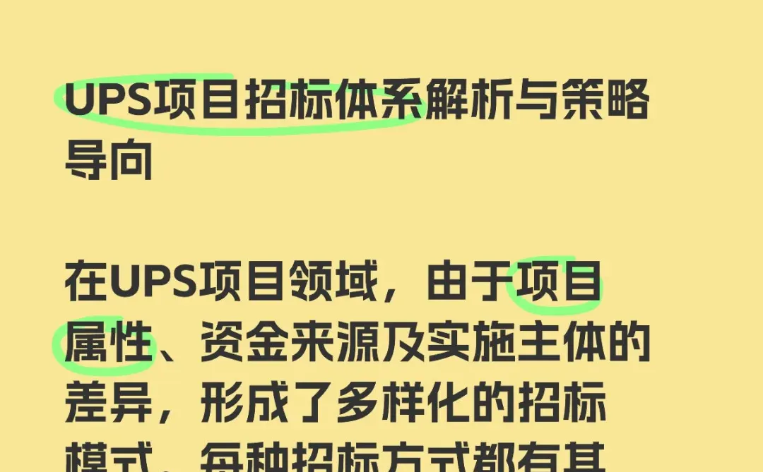 UPS项目招标体系解析与策略导向