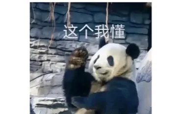 什么是招投标招投标，是招标投标的简称