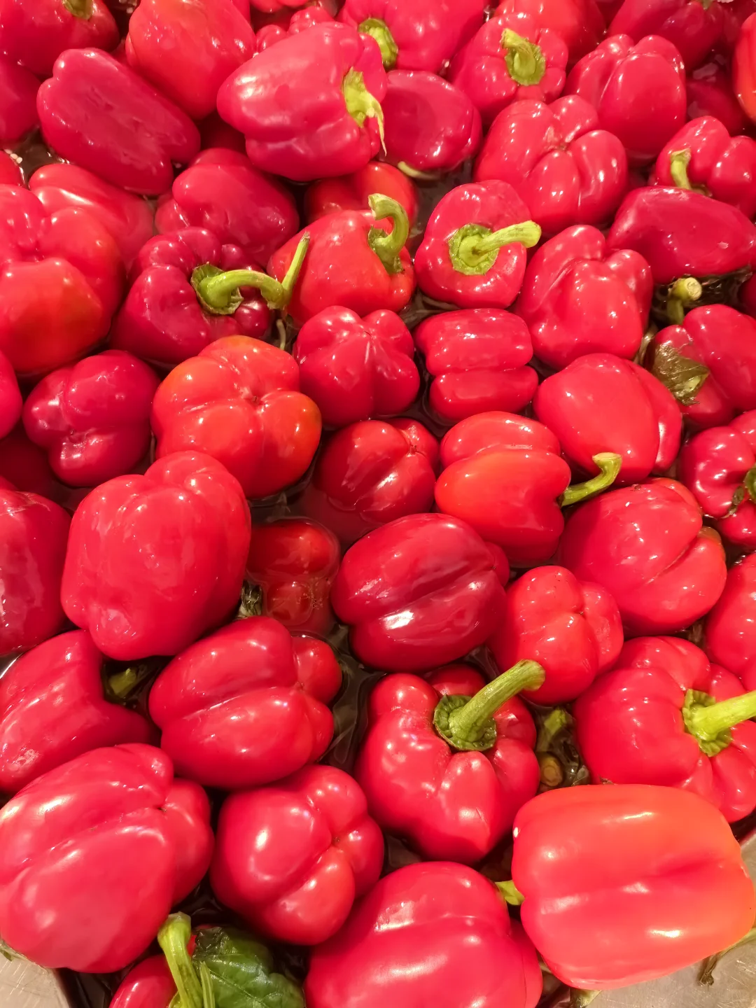 甜椒女工上线|直击工厂生产一线实拍?