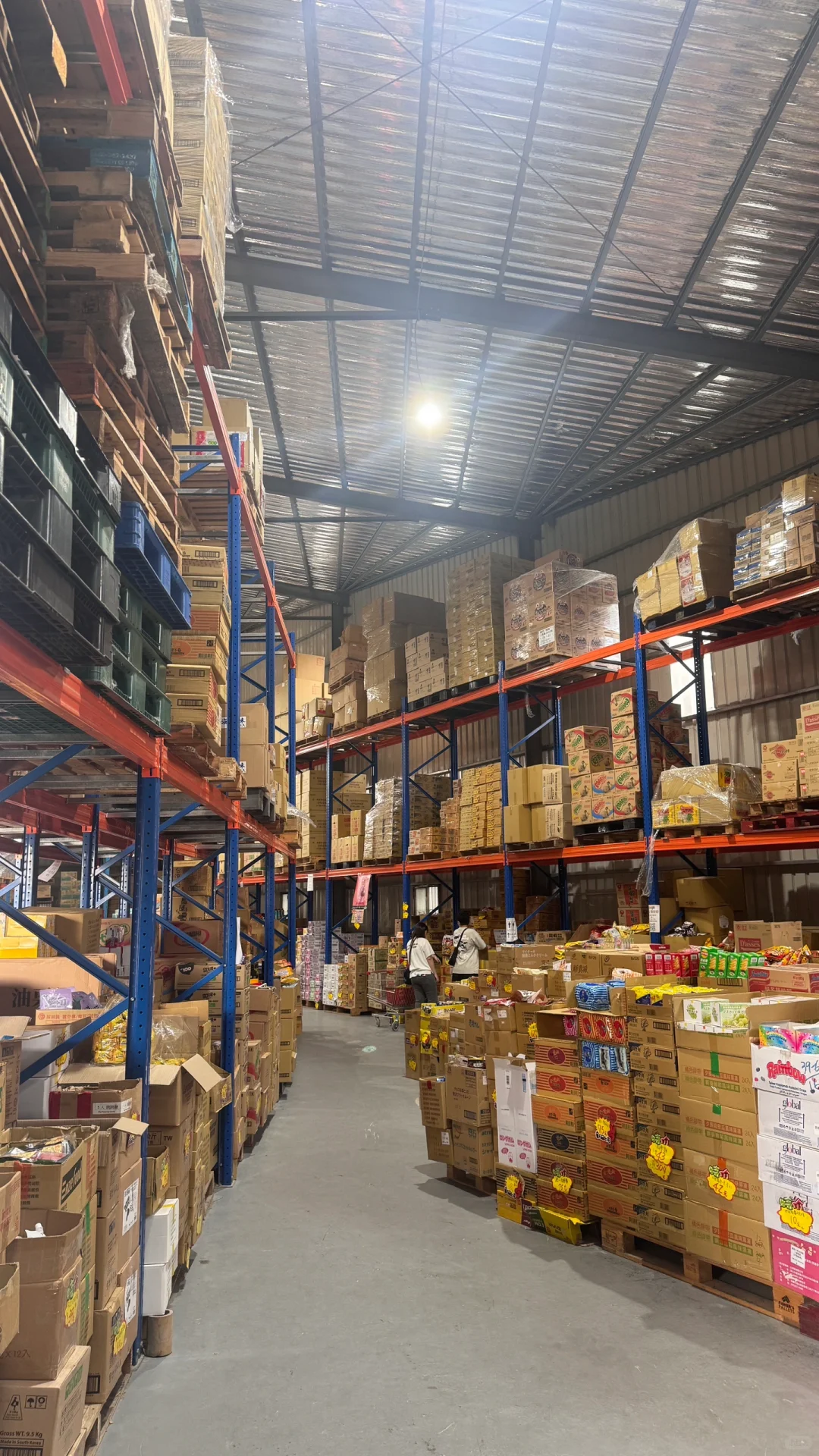 桃園 ⦚ 擼貓買零食? 一堆泡麵飲料隨便挑！