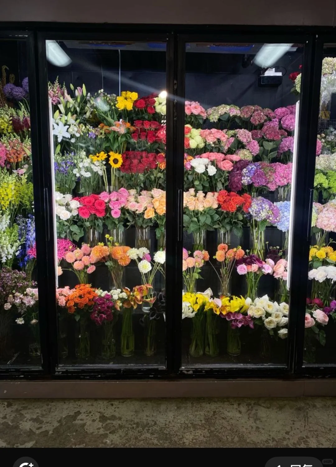 寻找冰鲜柜供应商