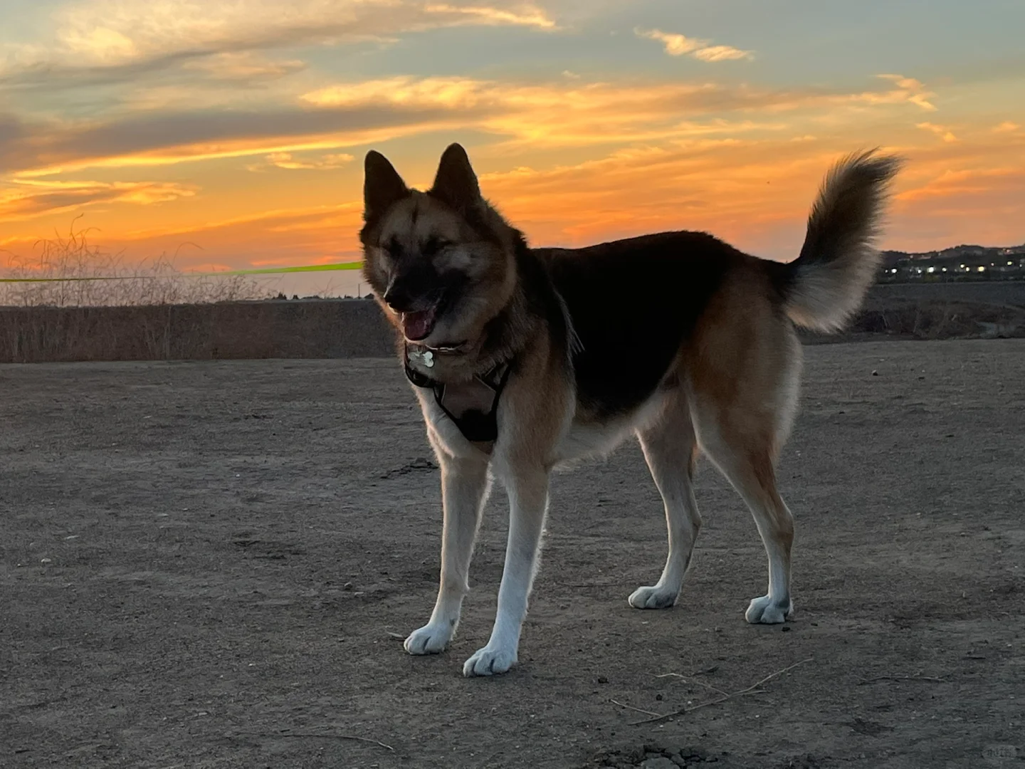 【电商新手怎么找供应商/工厂】（上）