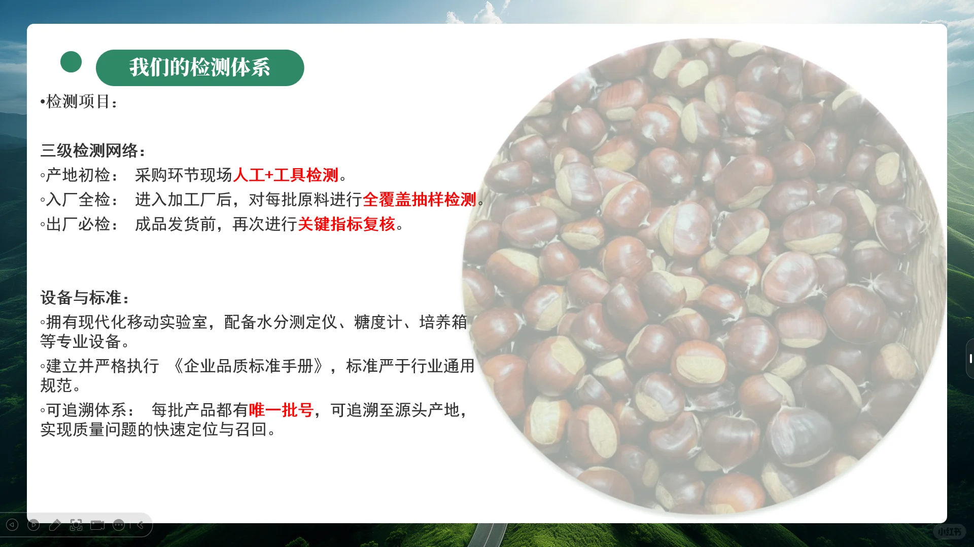 中国板栗工厂、板栗外贸企业