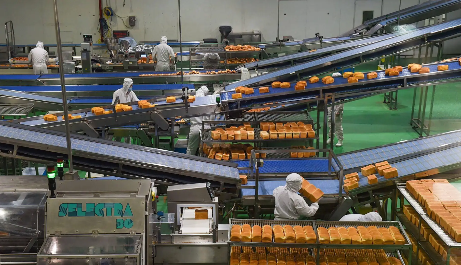 石狮泓一食品厂招工