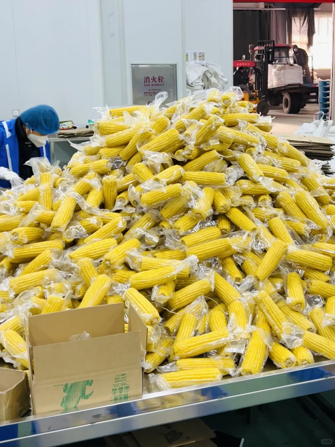 试了 10 几种玉米，还是自家源头工厂的最好