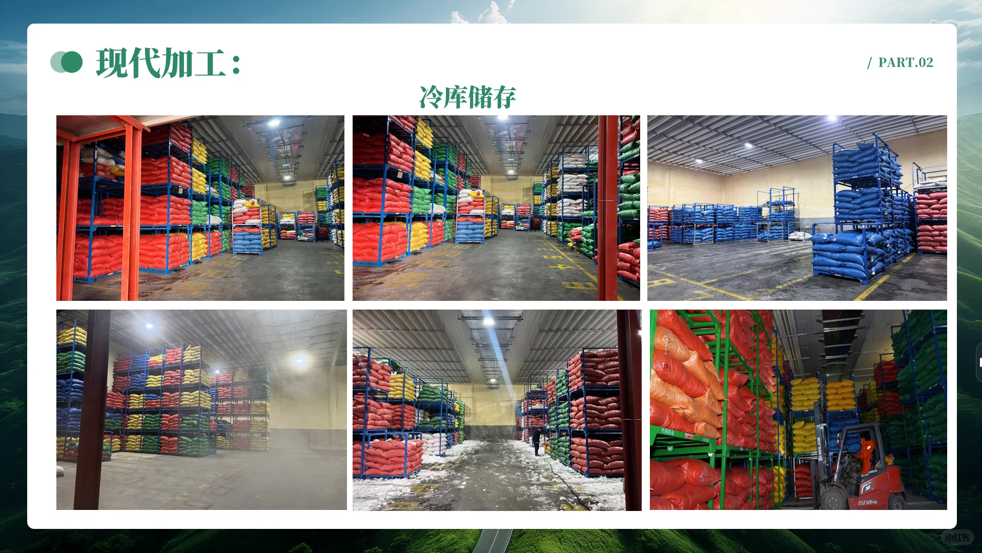 中国板栗工厂、板栗外贸企业