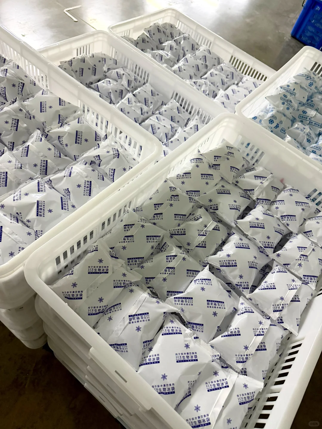 食品果蔬保鲜生物冰袋家用生鲜快递