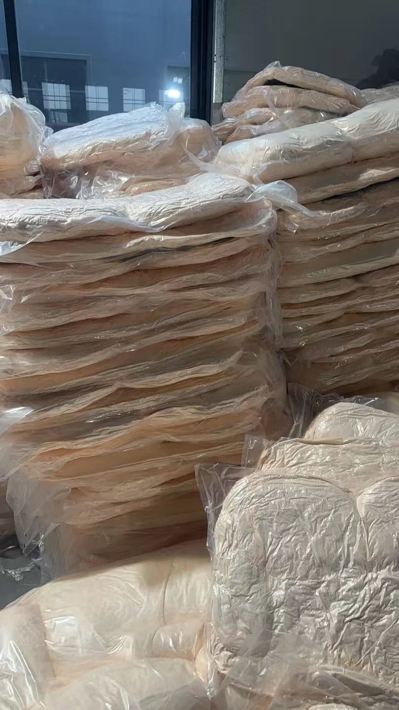 这家宠物用品工厂超牛