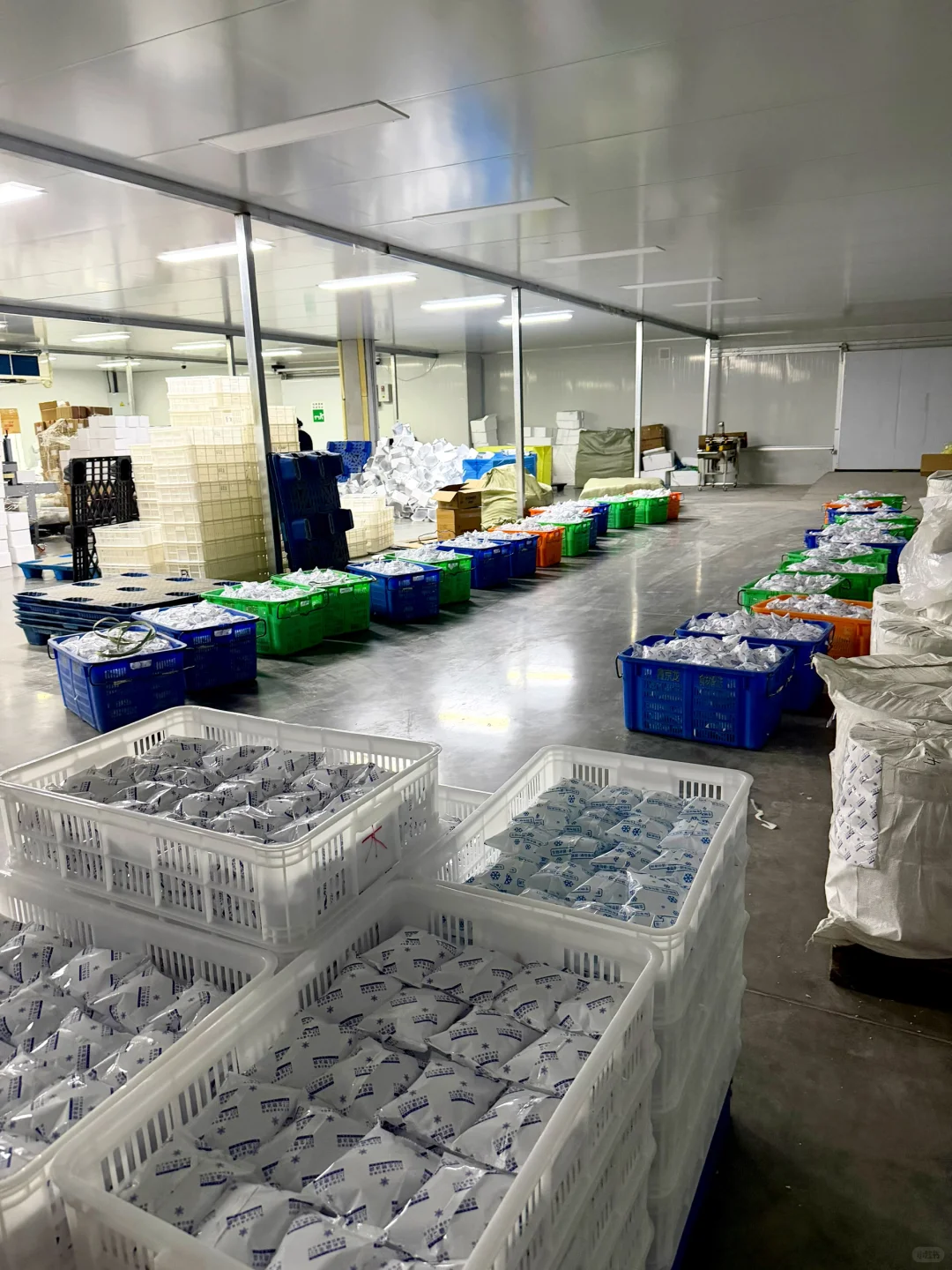 食品果蔬保鲜生物冰袋家用生鲜快递