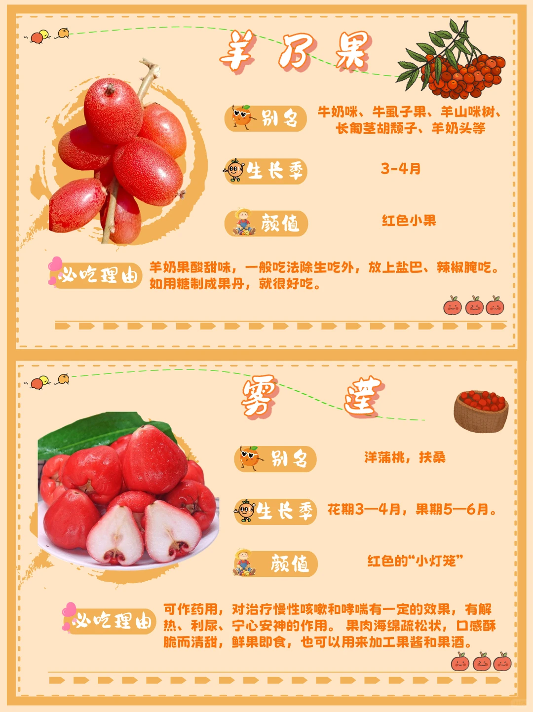 ? 来点云南水果震撼！本地人压箱底清单