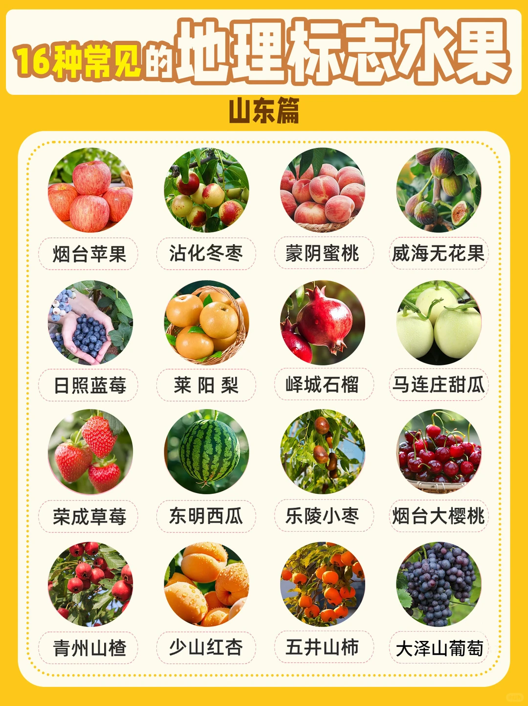山东必吃水果有哪些❓