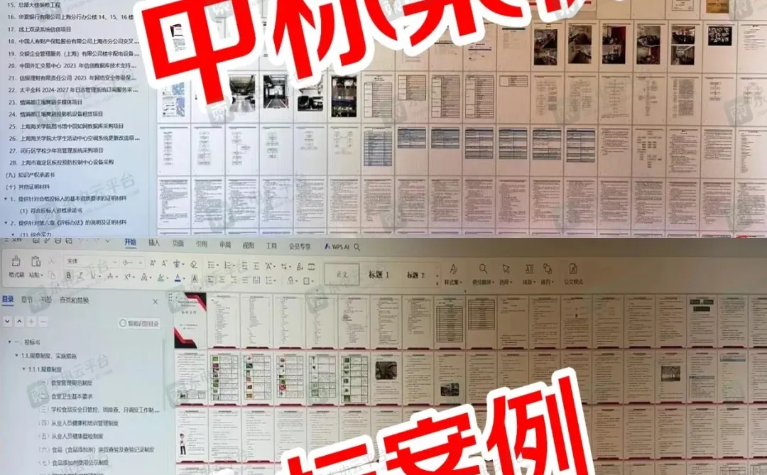 别踩坑了！标书代写费用早知道，无隐形消费