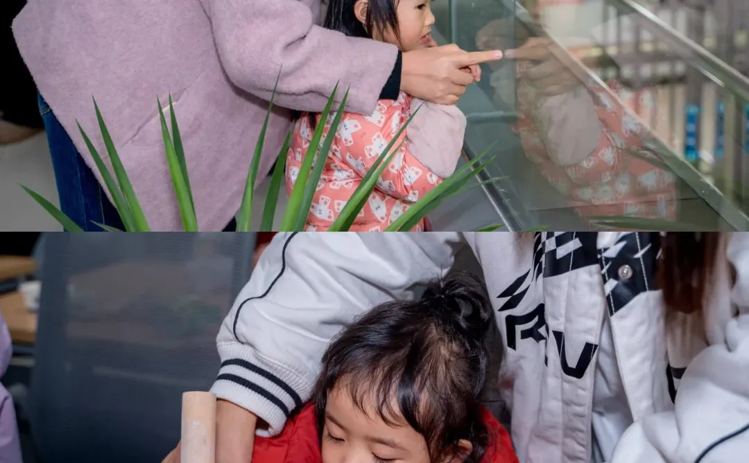 好一多牧场开放日！带娃探秘贵阳奶牛王国?