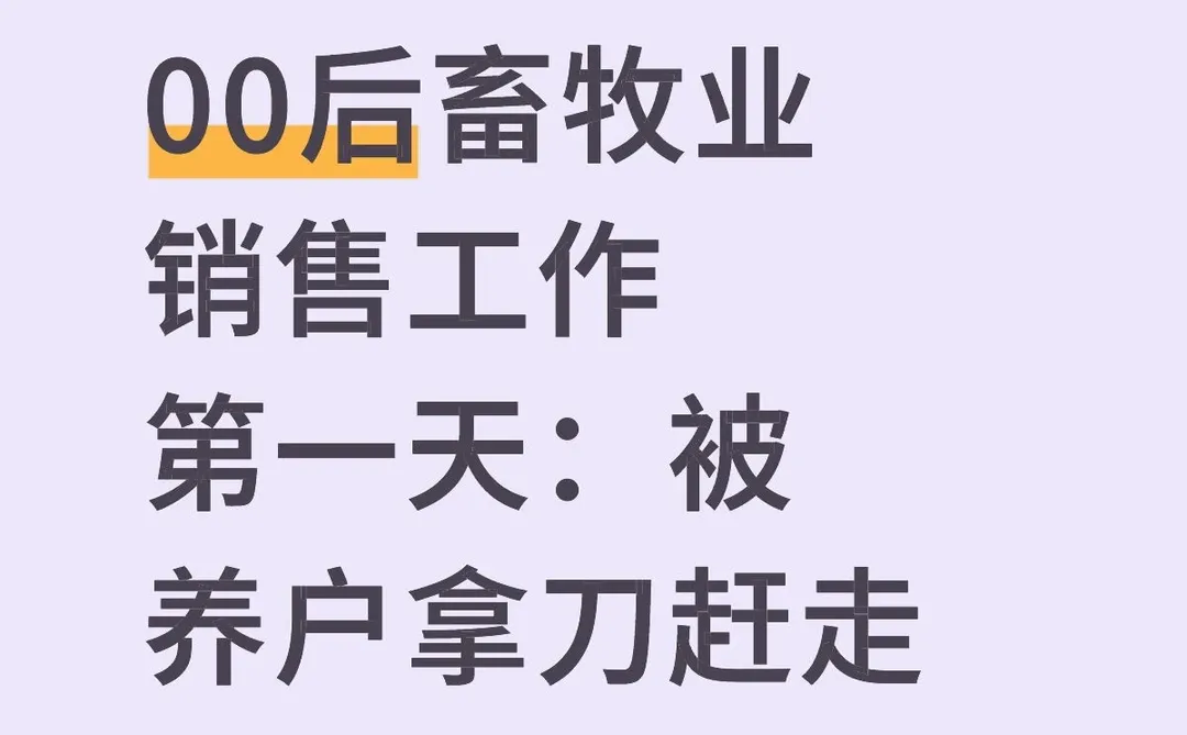00后畜牧业销售第一天