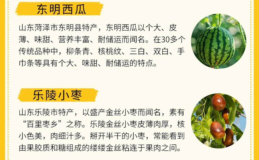 山东必吃水果有哪些❓
