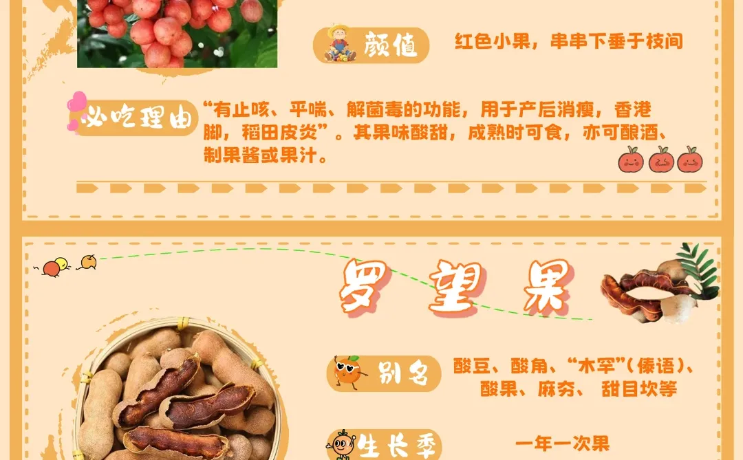 ? 来点云南水果震撼！本地人压箱底清单