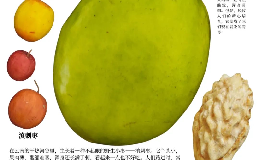 西双版纳遛娃攻略：去品尝热带的水果吧?