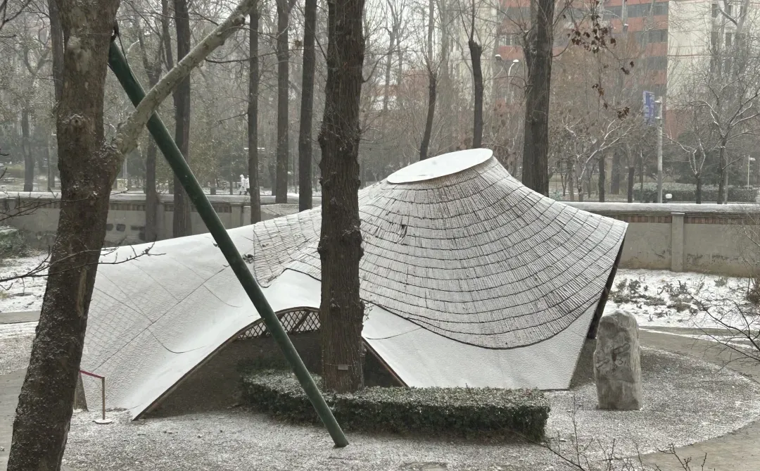 今天下雪了