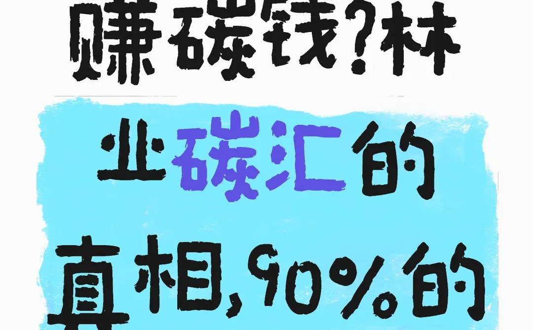 双碳篇：林业碳汇真相了