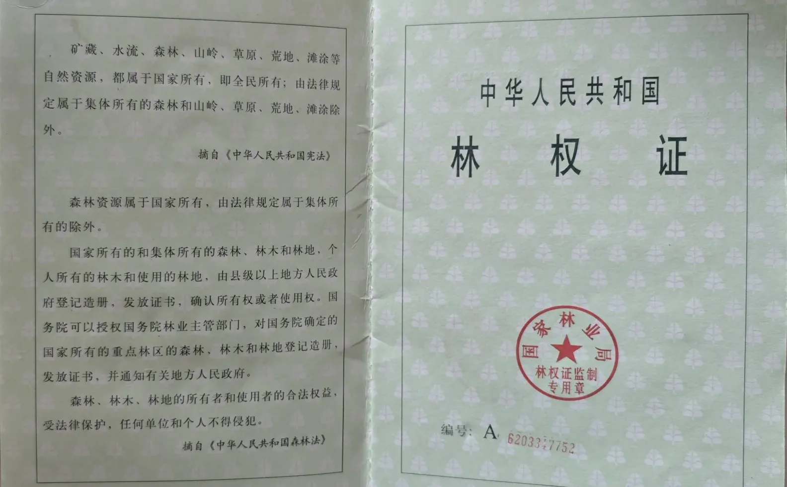 律师普法｜什么是林权证？