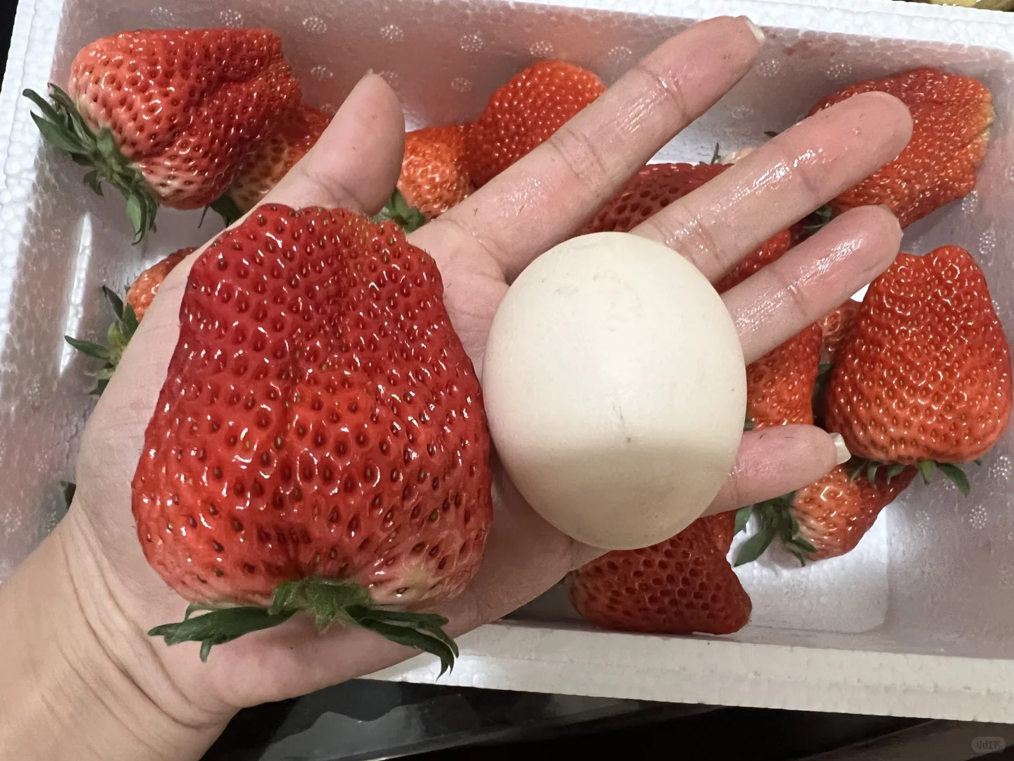 这个季节的草莓太甜了吧