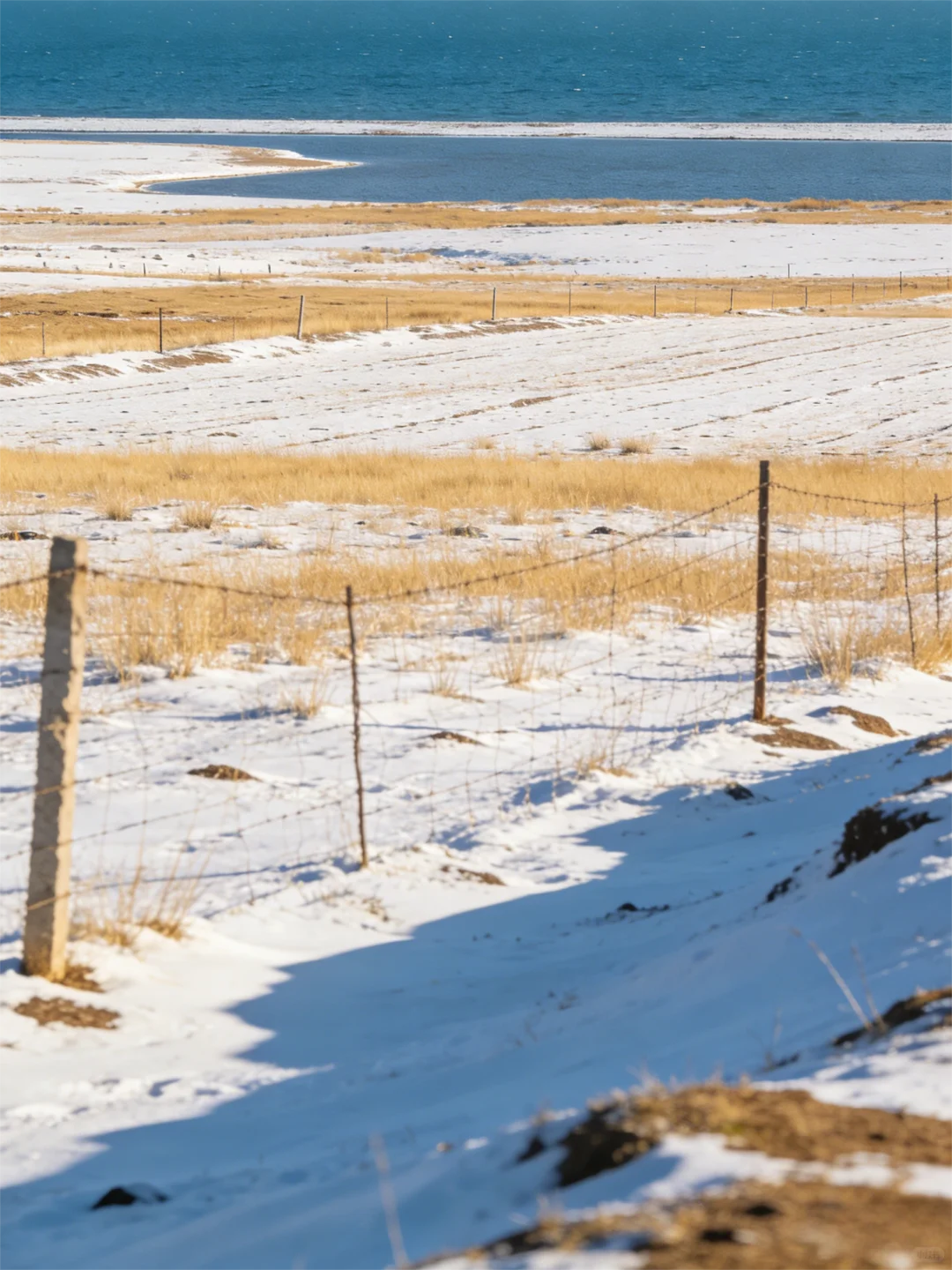 一份来自草原的邀请：你是我们正在寻找的人