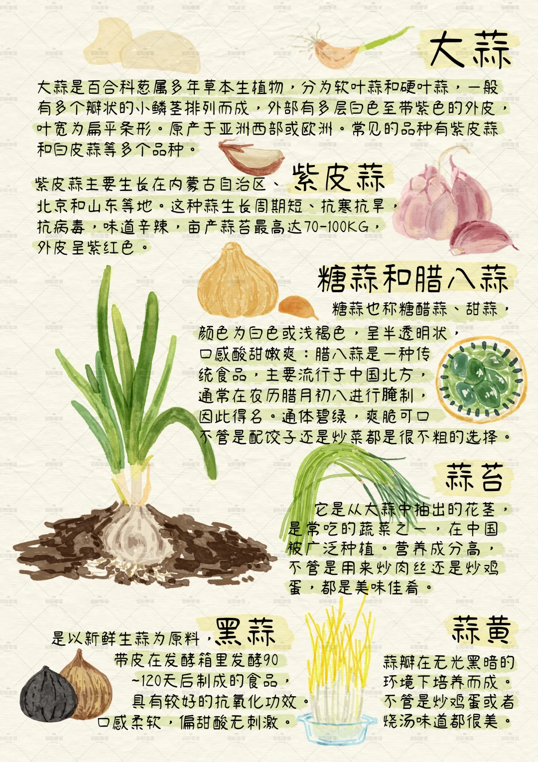 谁懂这九宫格的含金量？植物百科