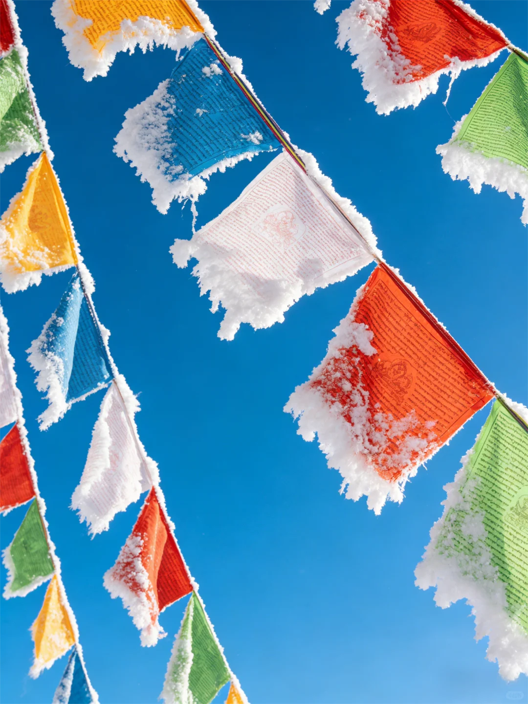 一份来自草原的邀请：你是我们正在寻找的人