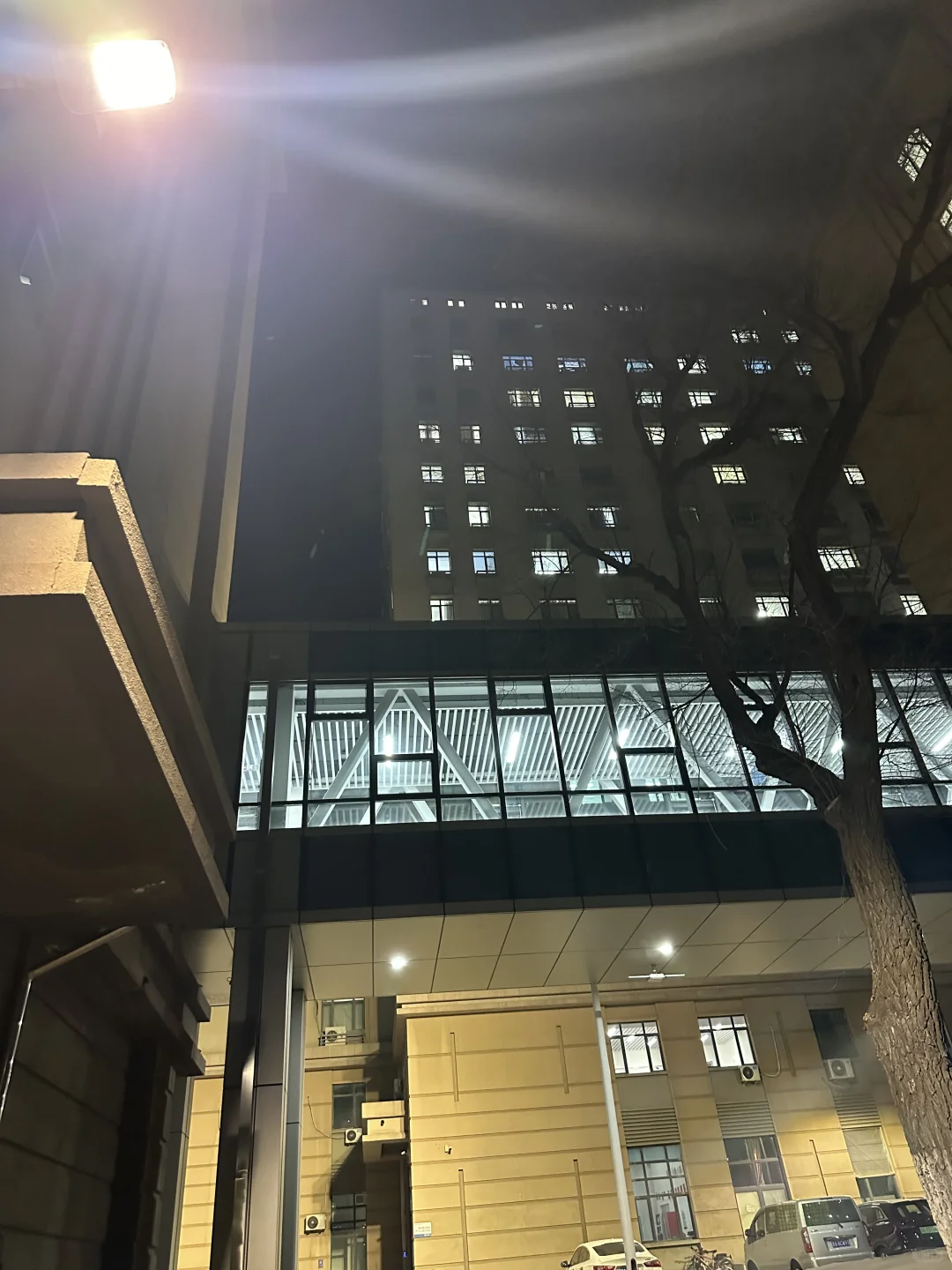 天！我发现哈工大的路灯会投校徽！?