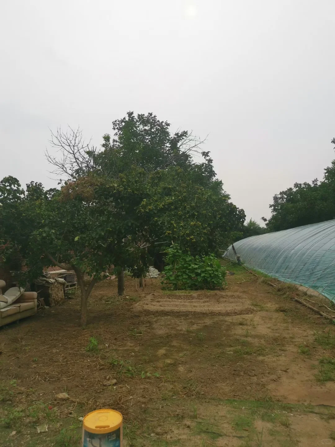 愿意帮我卖草莓有提成私信我