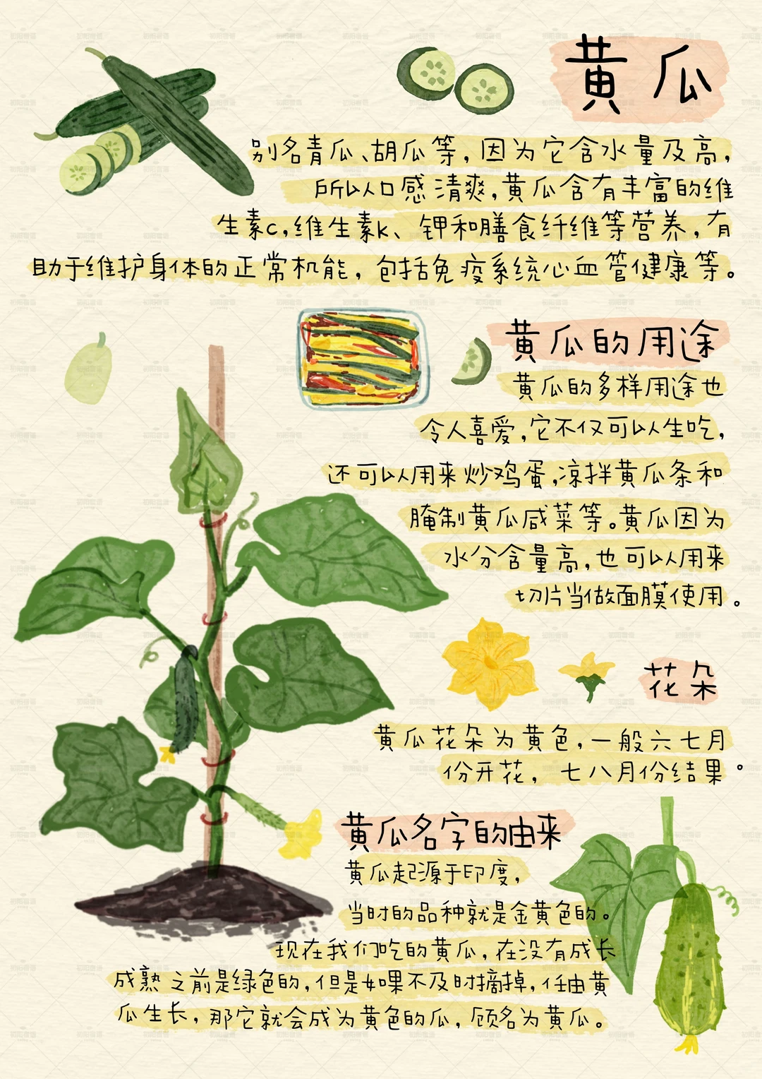 谁懂这九宫格的含金量？植物百科