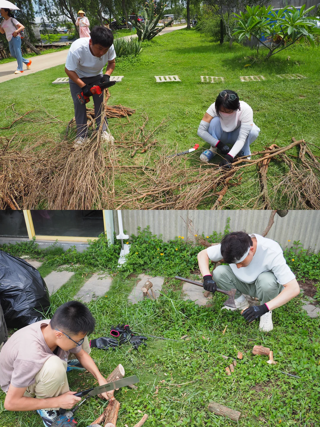 ?废弃树枝大改造！农场变身艺术乐园?