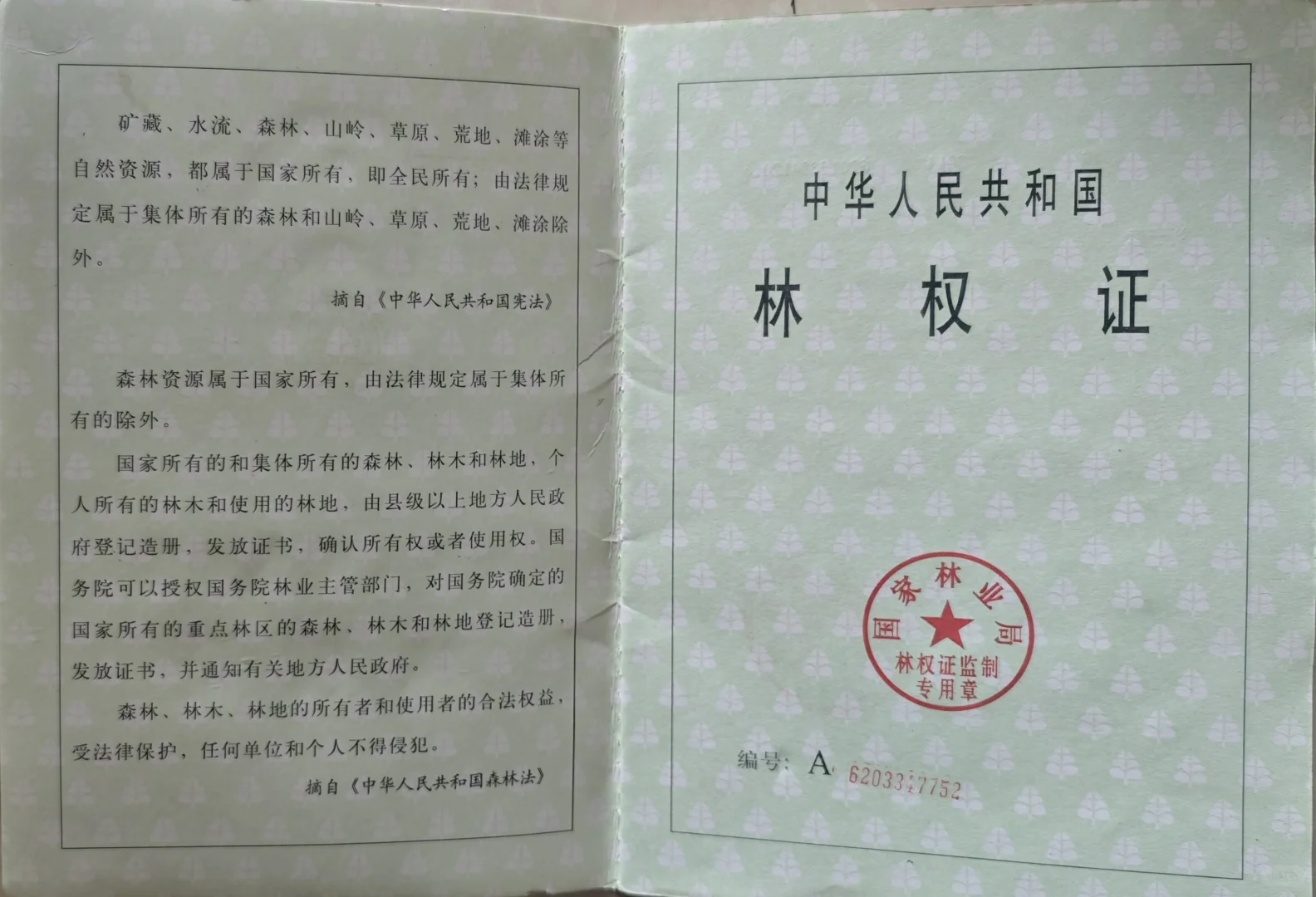 律师普法｜什么是林权证？