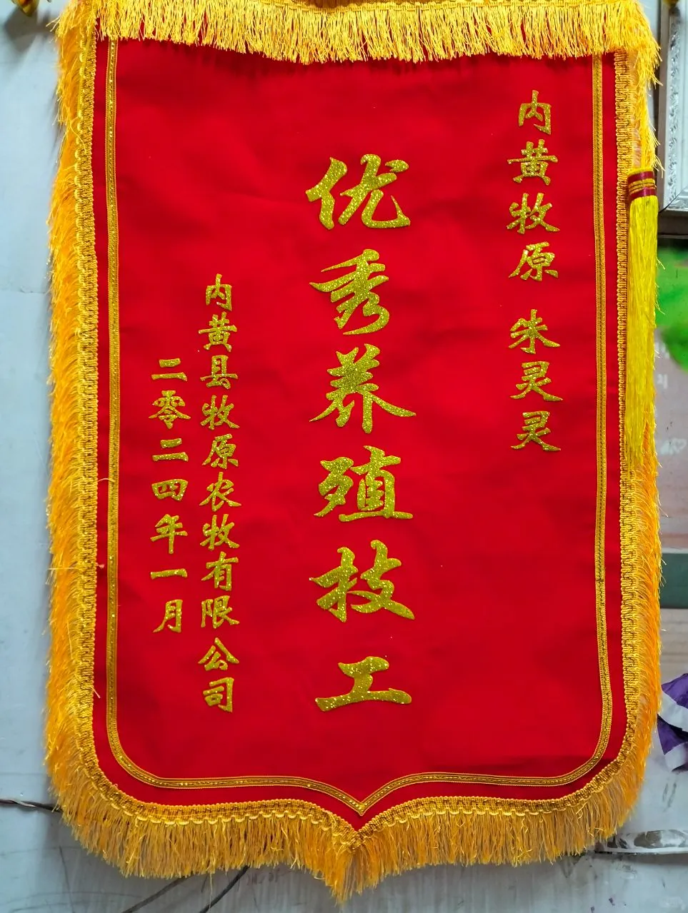 从负债到逆袭！get牧原养猪大姐的励志人生~