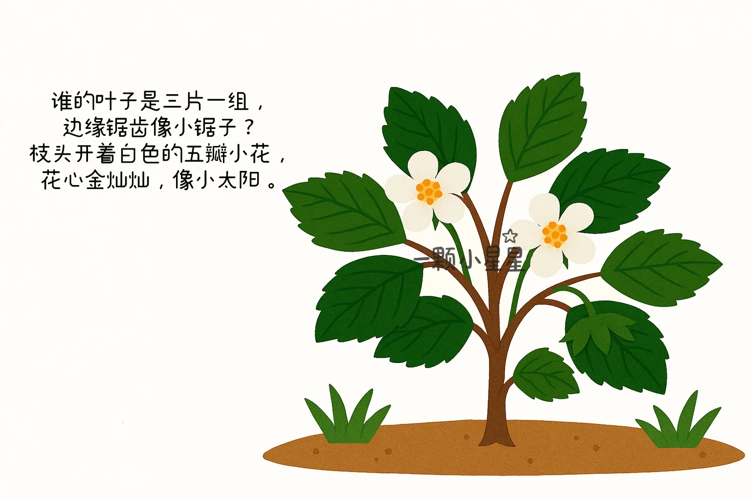 儿童科普常识绘本故事|谁在果园里认识水果