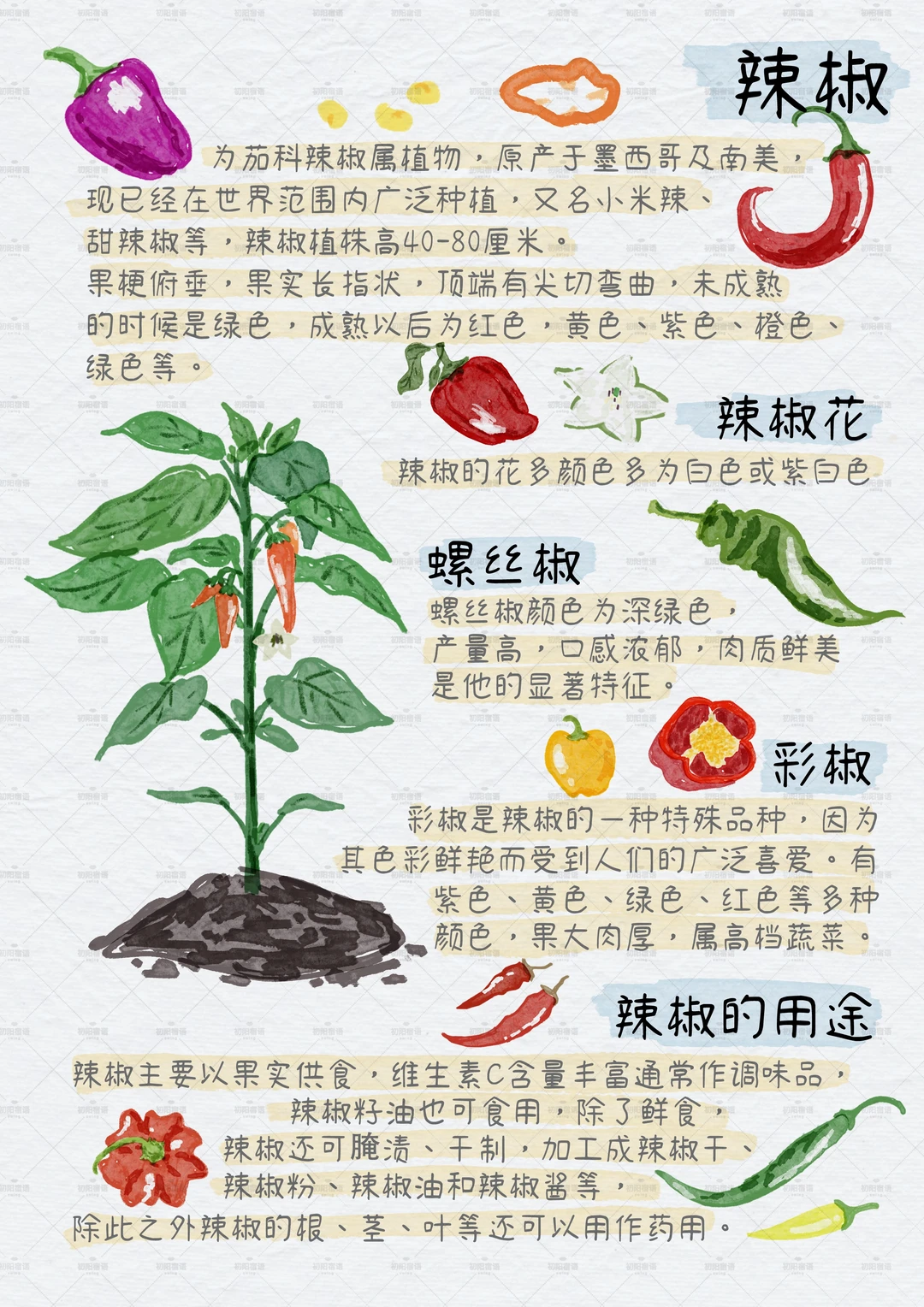 谁懂这九宫格的含金量？植物百科