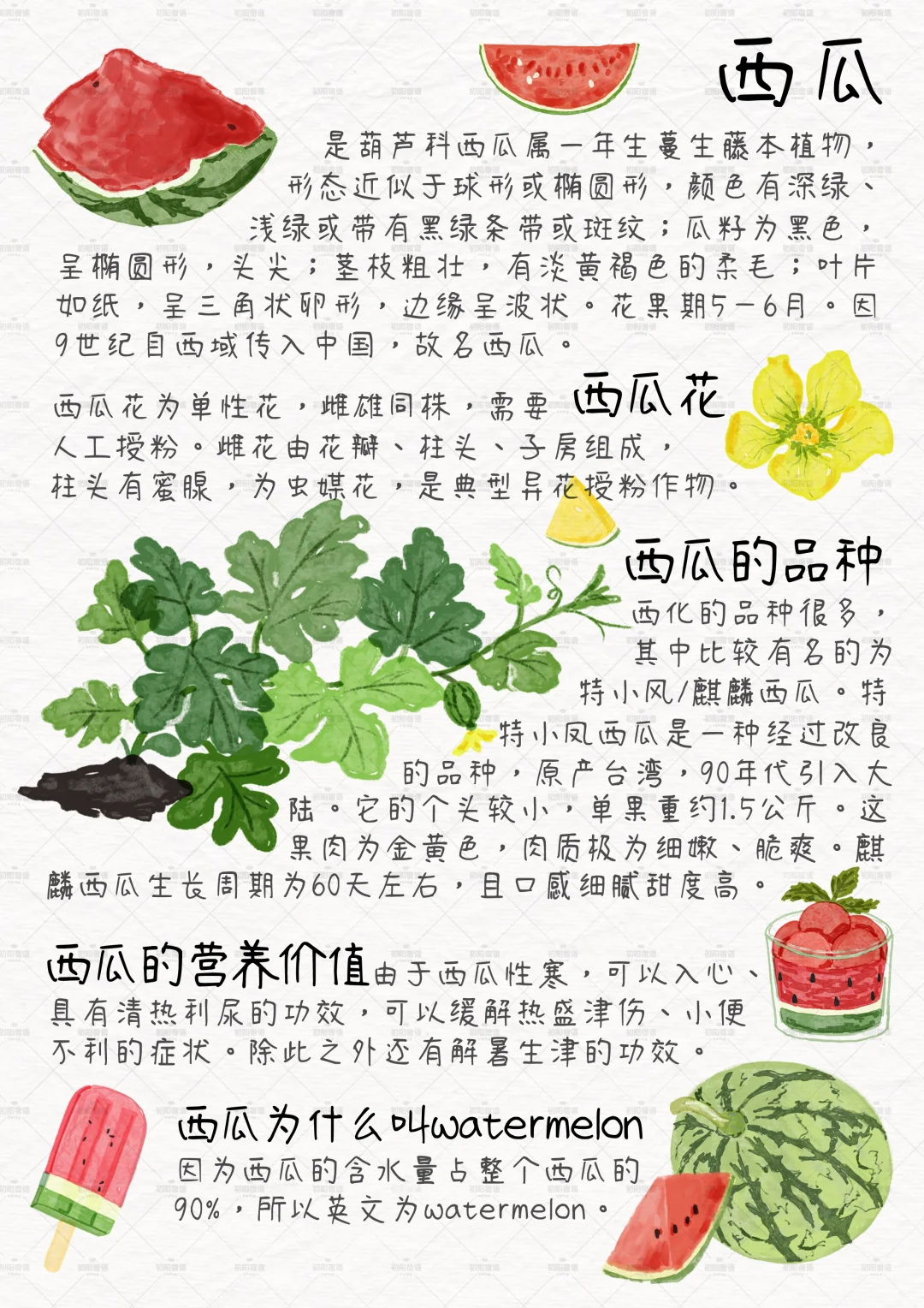 谁懂这九宫格的含金量？植物百科