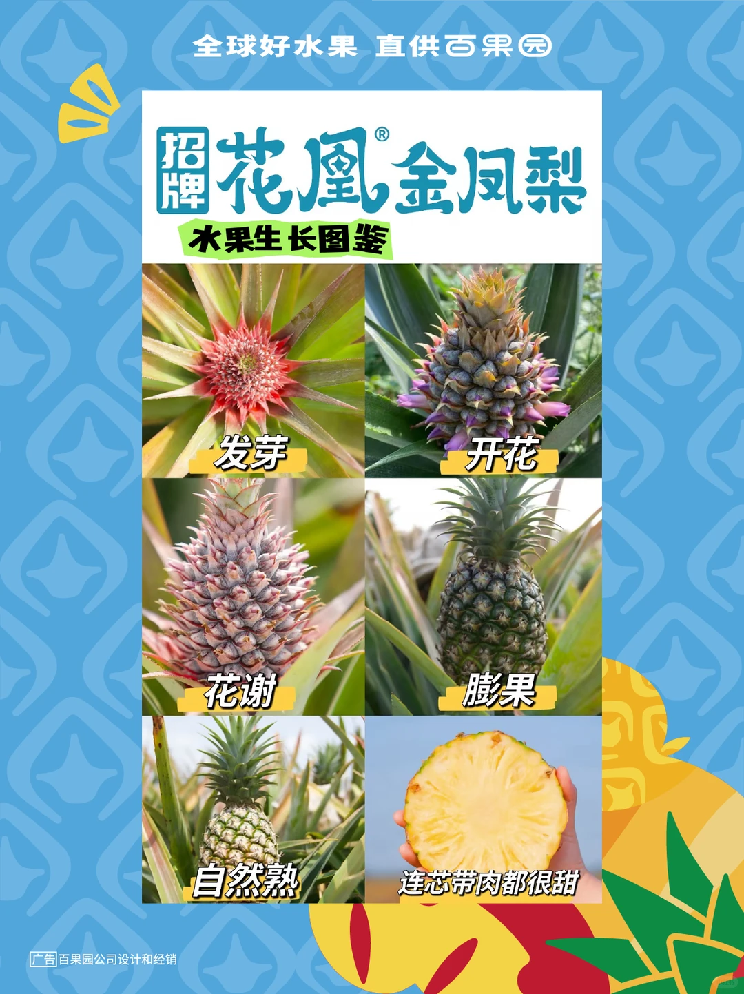 《百果园招牌水果生长图鉴》