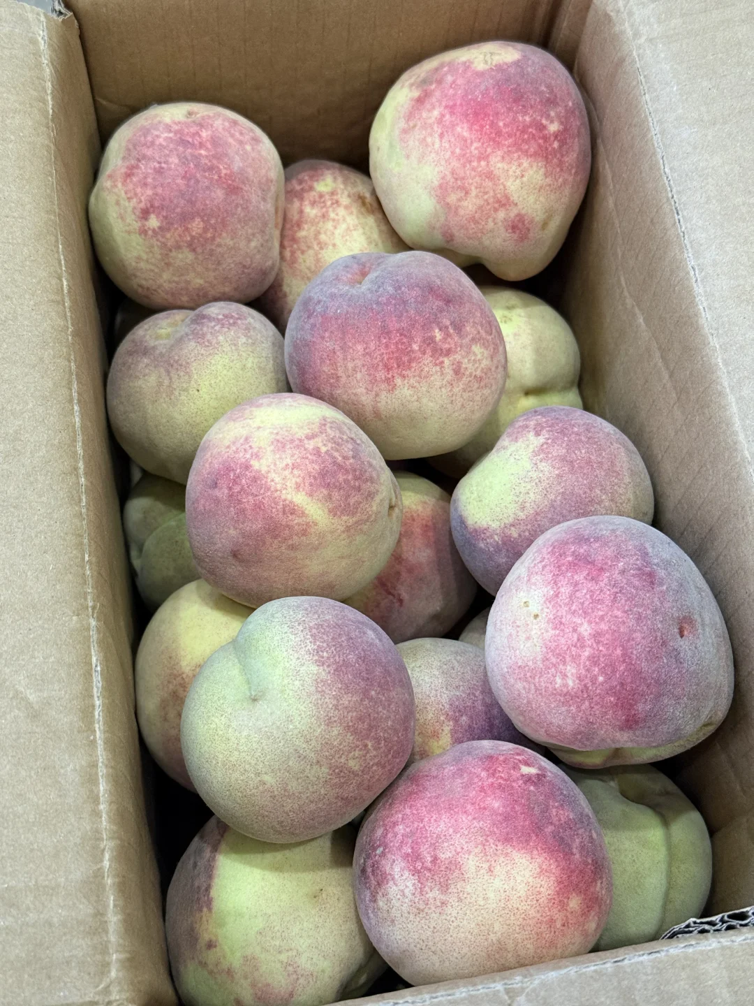 7r一箱！7r一箱！7r一箱！脆甜冬桃?！