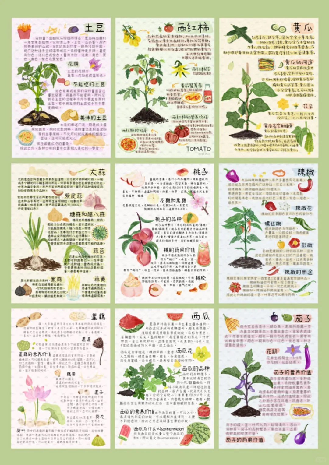 谁懂这九宫格的含金量？植物百科