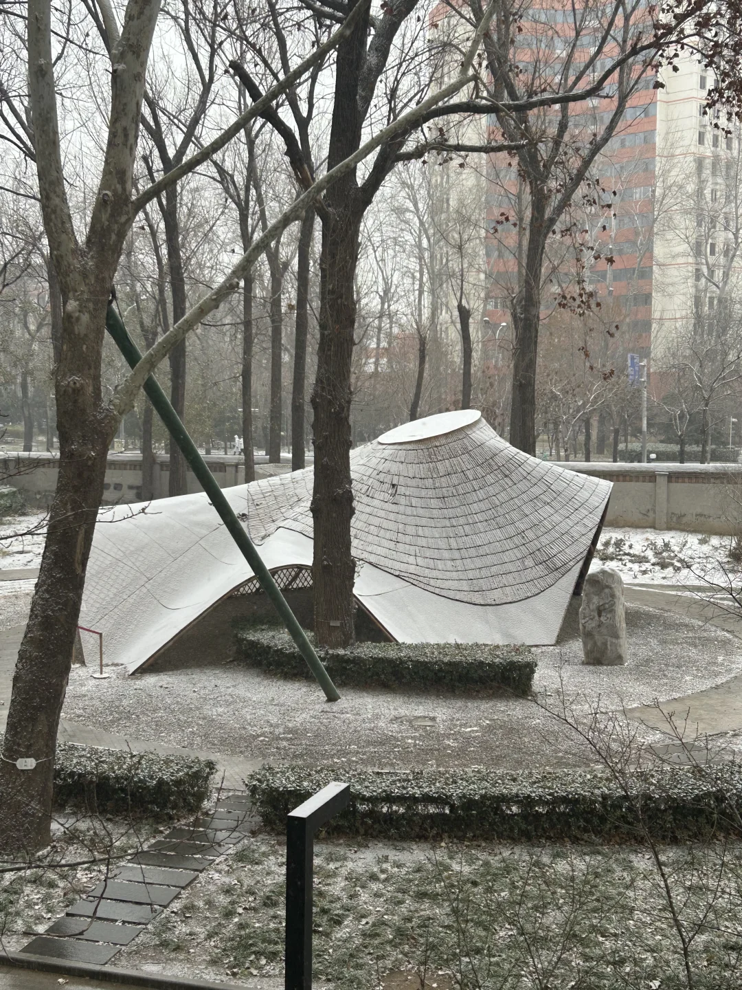今天下雪了