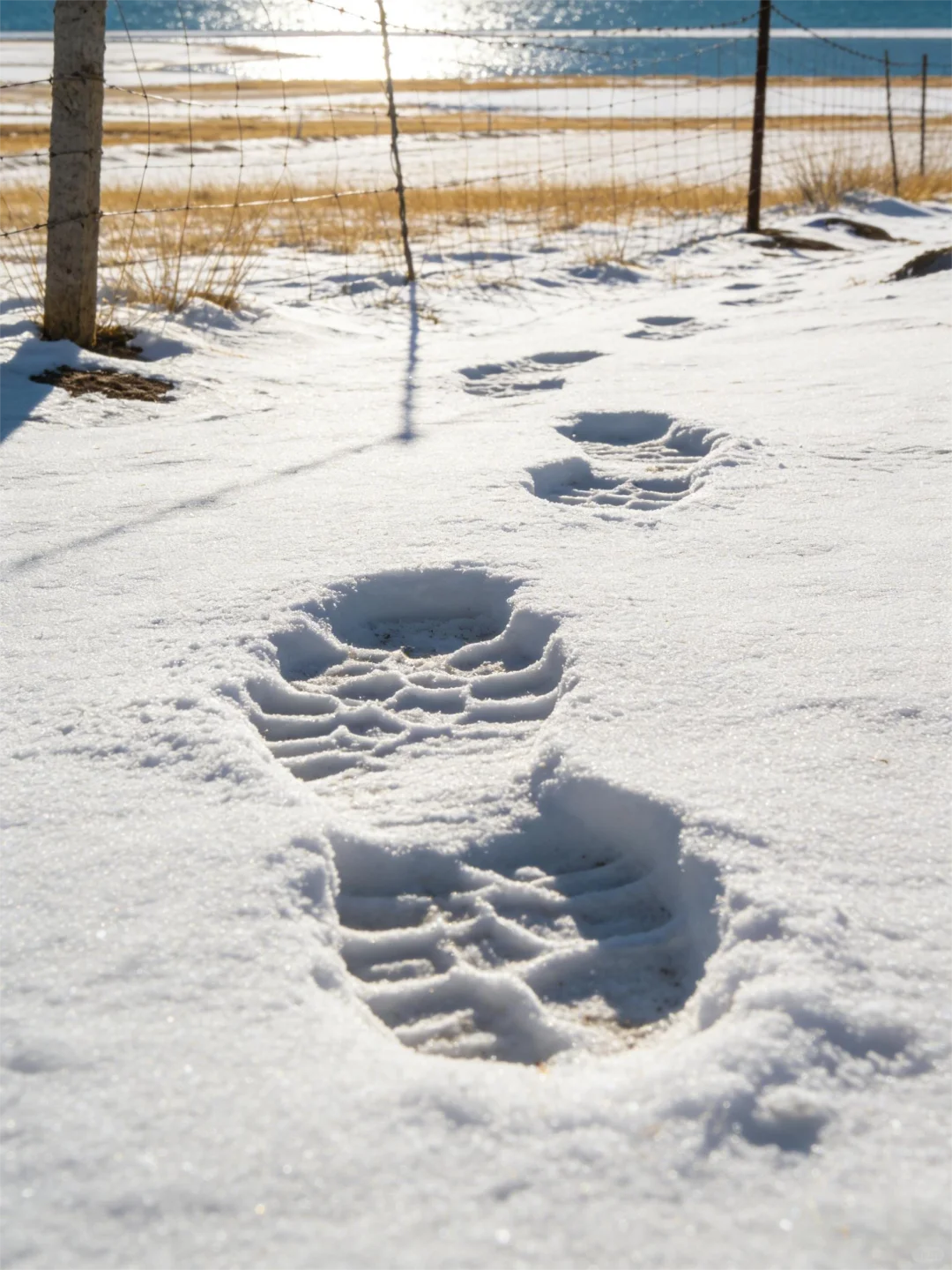 一份来自草原的邀请：你是我们正在寻找的人