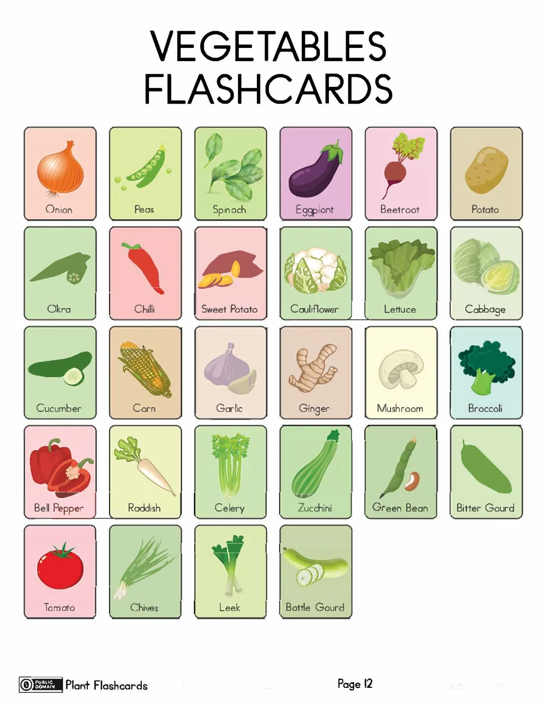亲子英语和孩子一起学英文水果蔬菜植物