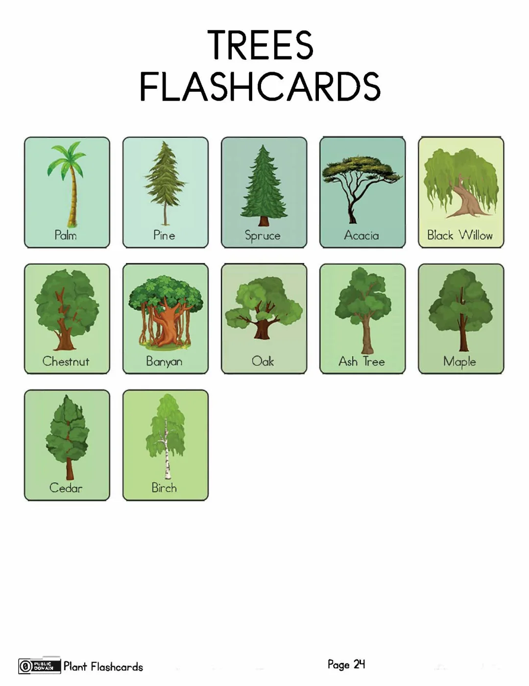 亲子英语和孩子一起学英文水果蔬菜植物