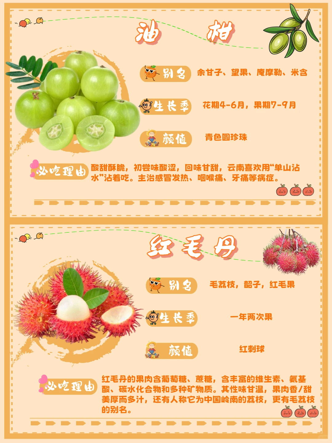 ? 来点云南水果震撼！本地人压箱底清单