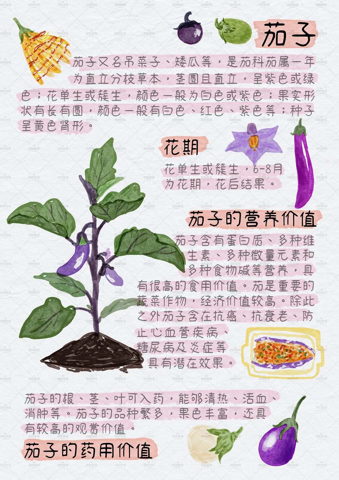 谁懂这九宫格的含金量？植物百科