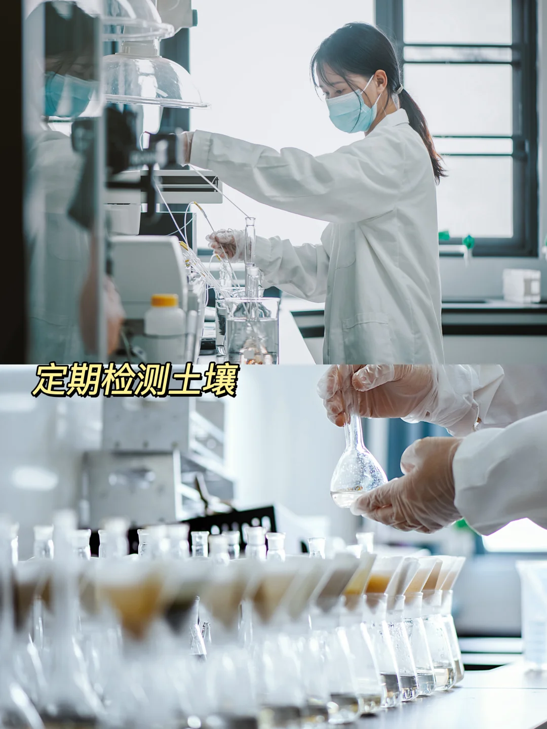 2月还是花苞，11月甜到炸裂?