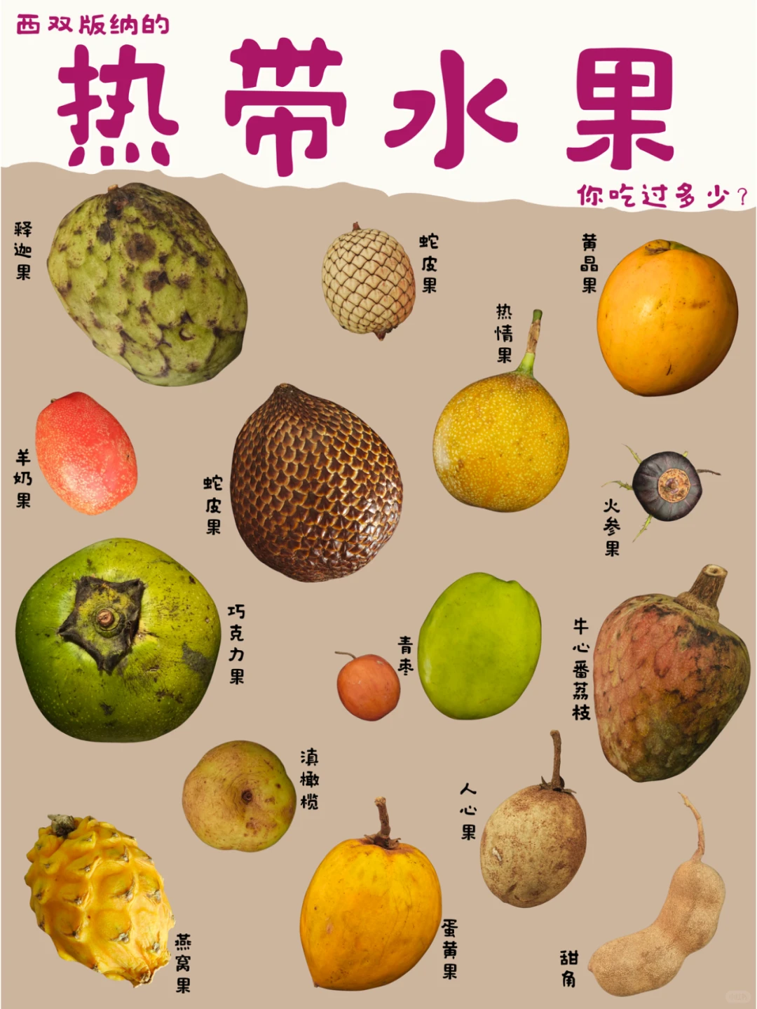 西双版纳遛娃攻略：去品尝热带的水果吧?