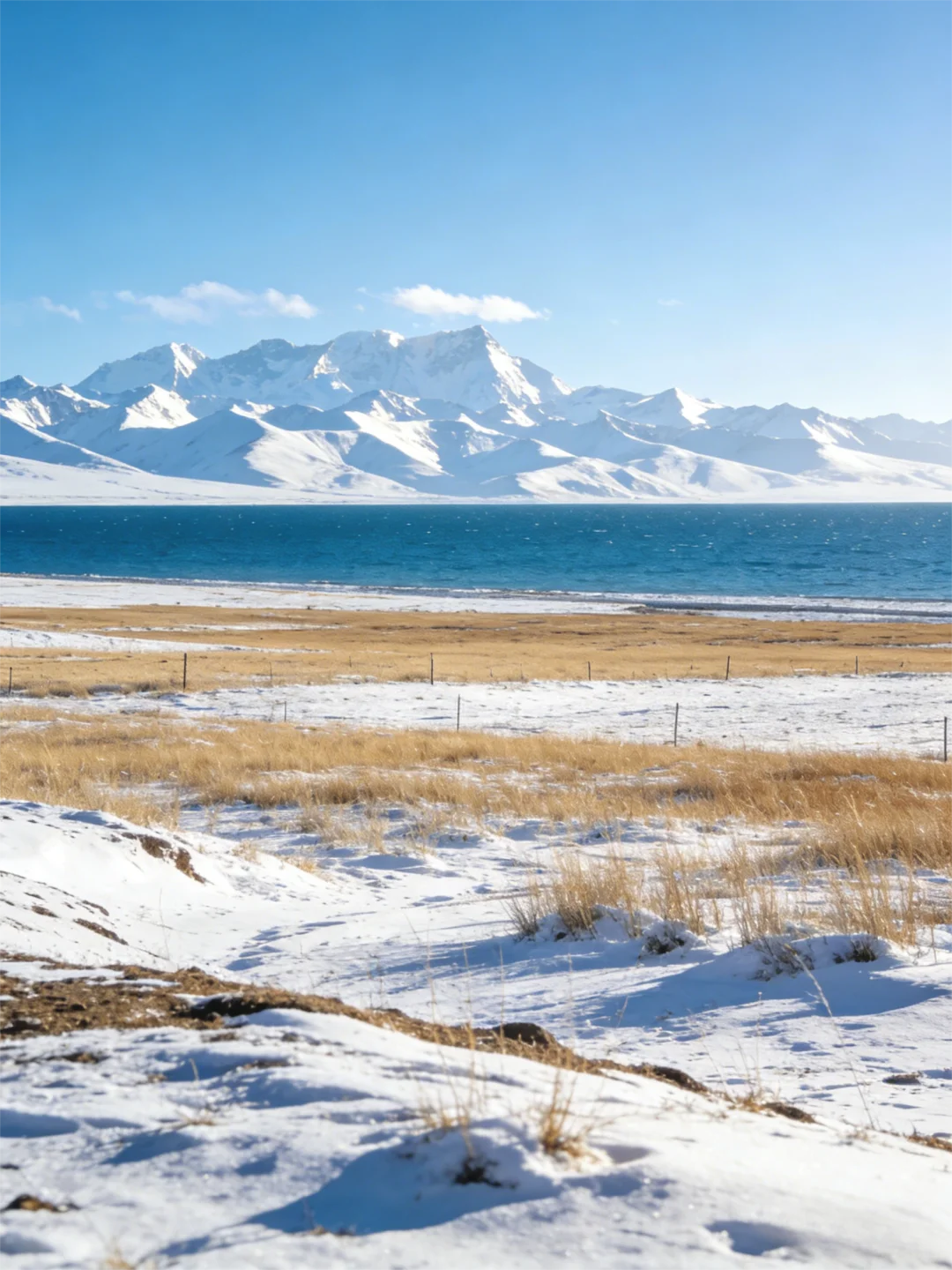 一份来自草原的邀请：你是我们正在寻找的人